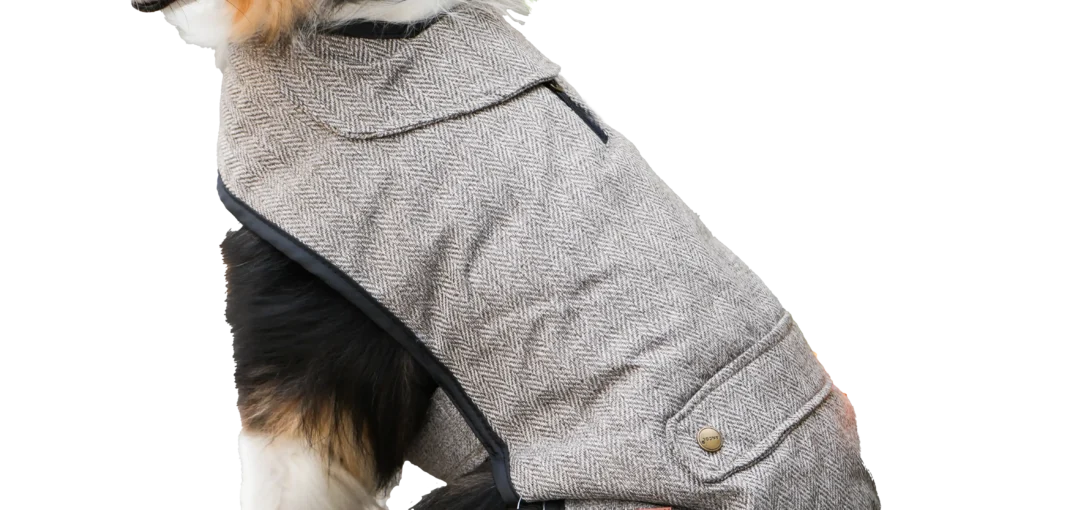 Truffe Store Accessoires alimentation chiens chats Chaleur& style avec ancol pet products 🐾