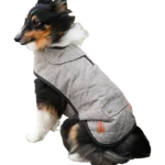 Truffe Store Accessoires alimentation chiens chats Chaleur& style avec ancol pet products 🐾