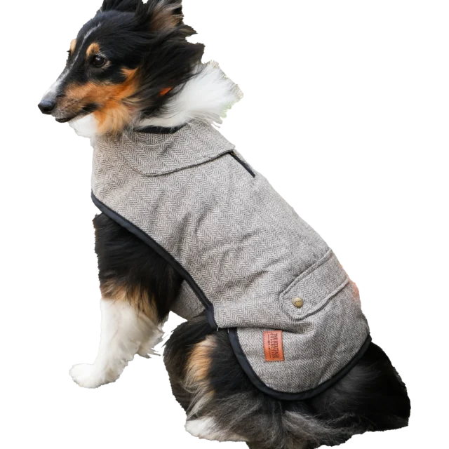 Truffe Store Accessoires alimentation chiens chats Chaleur& style avec ancol pet products 🐾