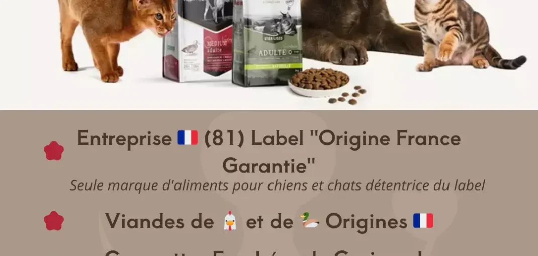 Truffe Store Accessoires alimentation chiens chats affiche atelier