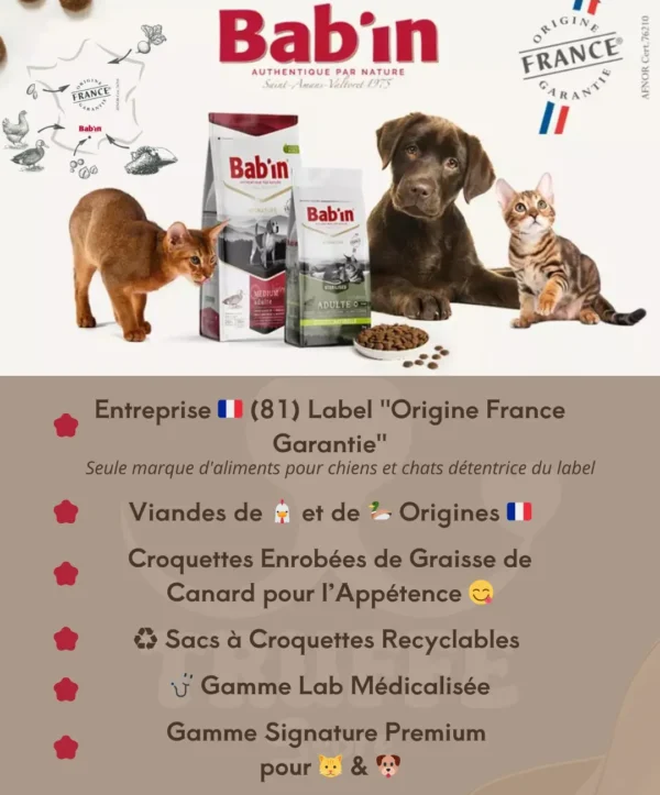 🐾 Bab’In chez Truffe Store ! 🐶🐱