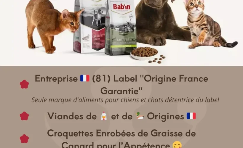 Truffe Store Accessoires alimentation chiens chats affiche atelier