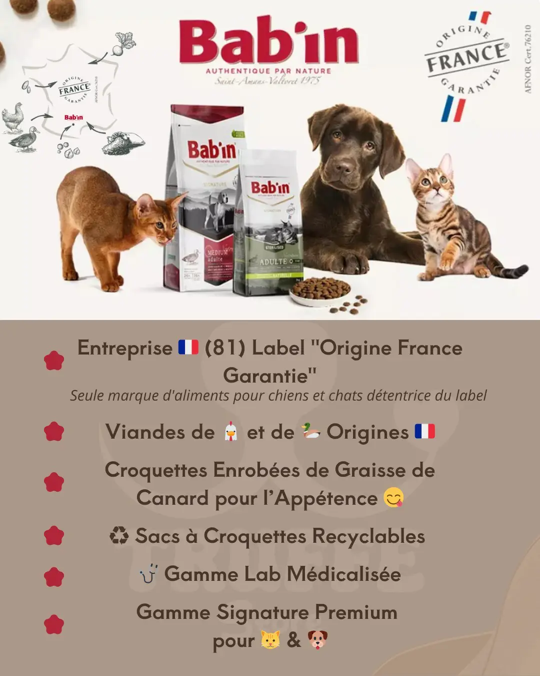 Truffe Store Accessoires alimentation chiens chats affiche atelier