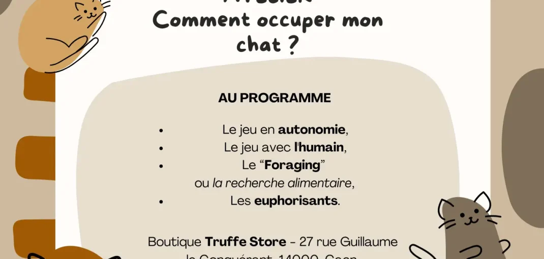Truffe Store Accessoires alimentation chiens chats affiche atelier