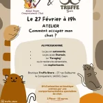 Truffe Store Accessoires alimentation chiens chats affiche atelier