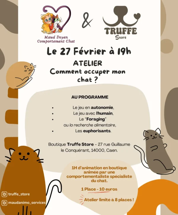 🎉ATELIER – Comment occuper mon chat ?