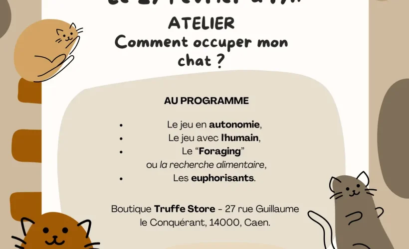 Truffe Store Accessoires alimentation chiens chats affiche atelier