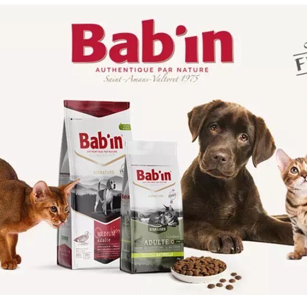 🐾 Bab’in : l’alimentation française qui prend soin de vos chiens et chats