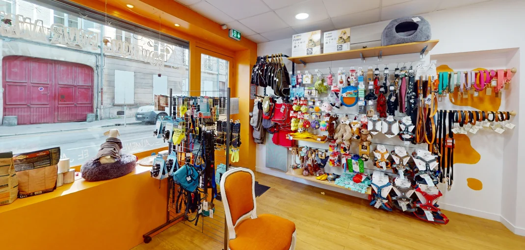 Truffe Store Accessoires alimentation chiens chats intérieur boutique