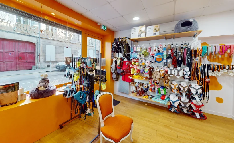Truffe Store Accessoires alimentation chiens chats intérieur boutique