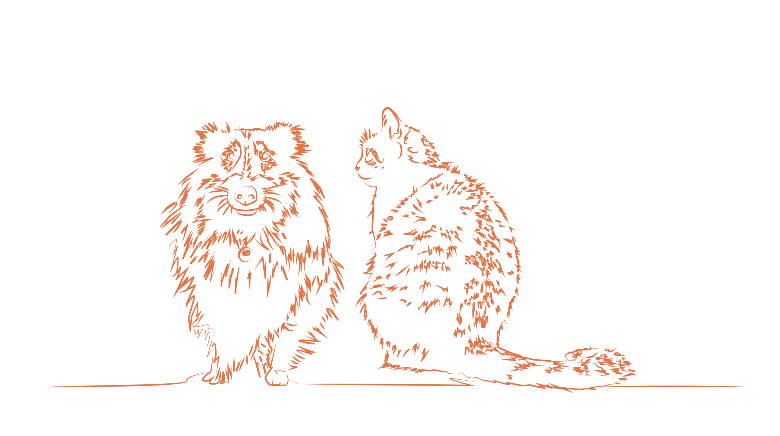 Truffe Store Accessoires alimentation dessin vectorisé chiens chats