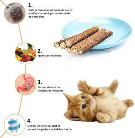 Truffe Store Accessoires alimentation chiens chats bienfait_du_matatabi_5000x