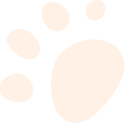 Truffe Store Accessoires alimentation chiens chats icone patte chien