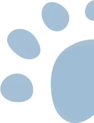 Truffe Store Accessoires alimentation chiens chats icone patte chien