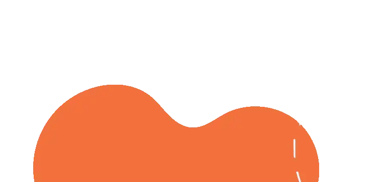 Truffe Store Accessoires alimentation chiens chats forme orange vague