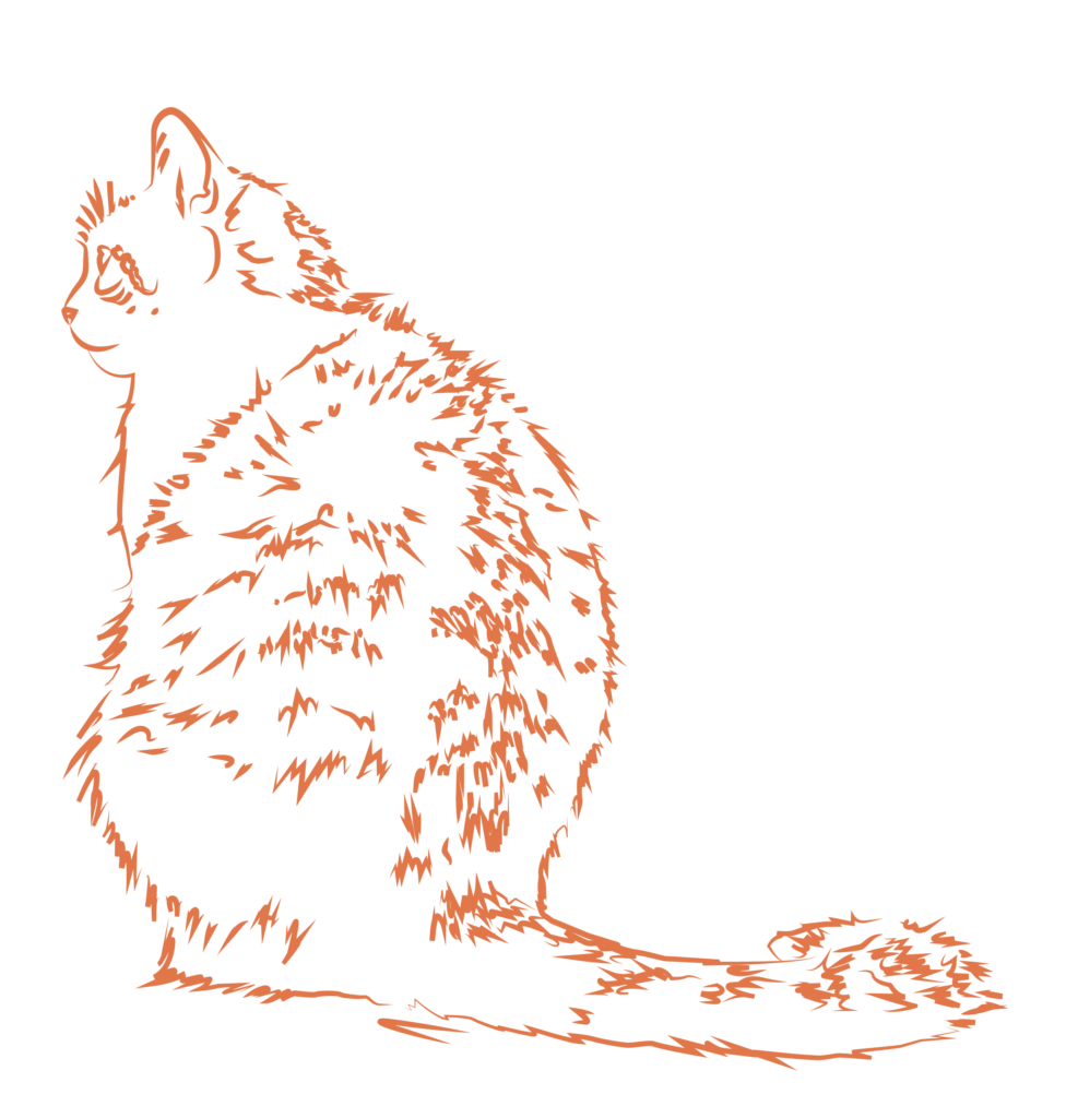 Truffe Store Accessoires alimentation chiens chats dessin chat vectoriel