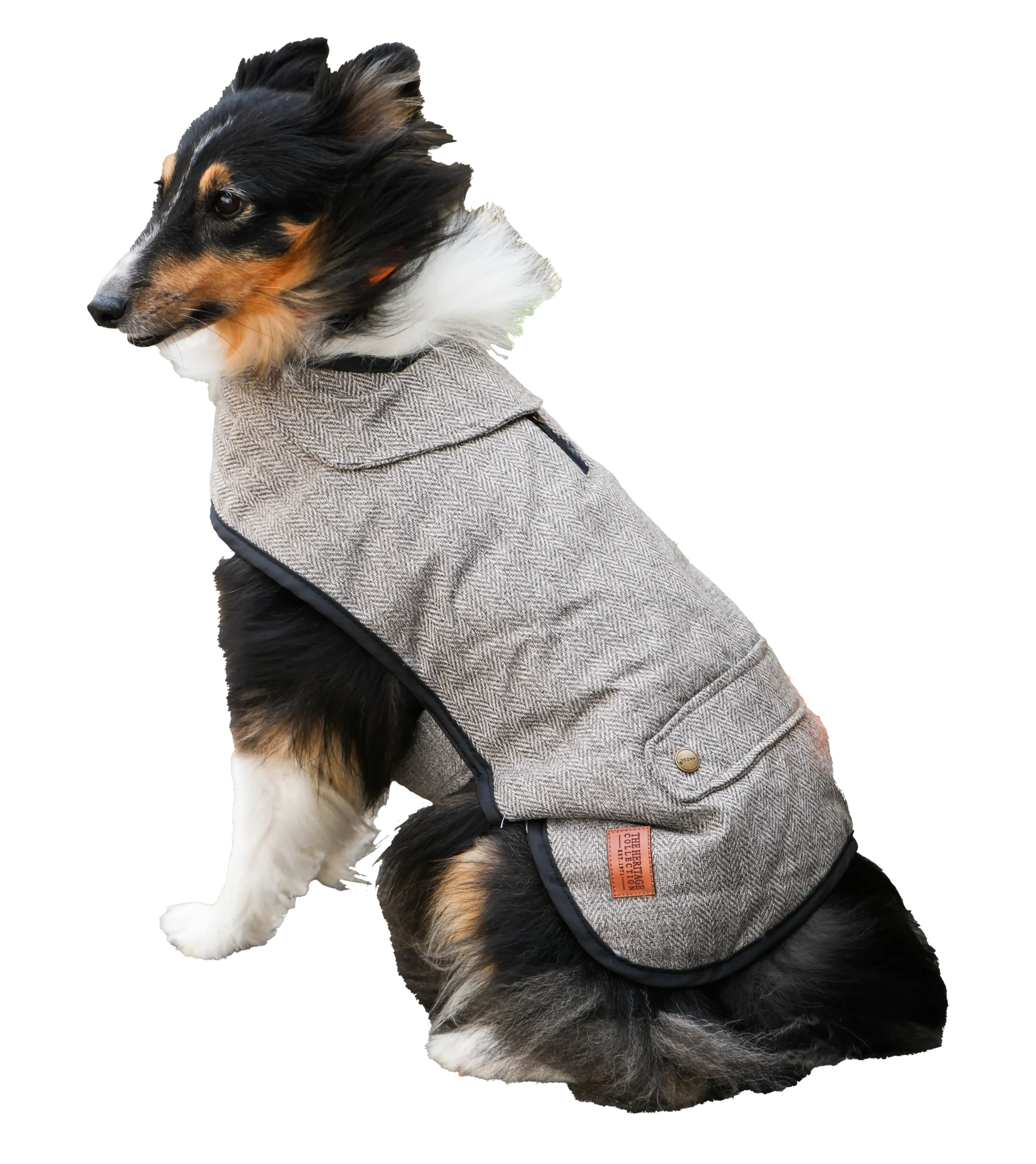 Truffe Store Accessoires vetement chien