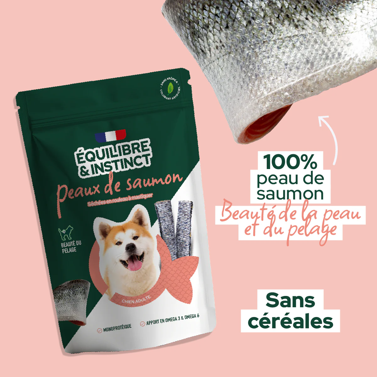 Toppingausaumonpourchatcopie2