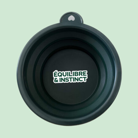 Gamelle de voyage pliable pour chien et chat 300ml
