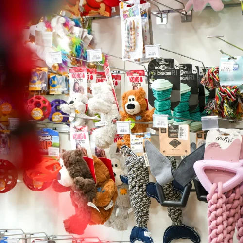 Truffe Store Accessoires alimentation chiens chats