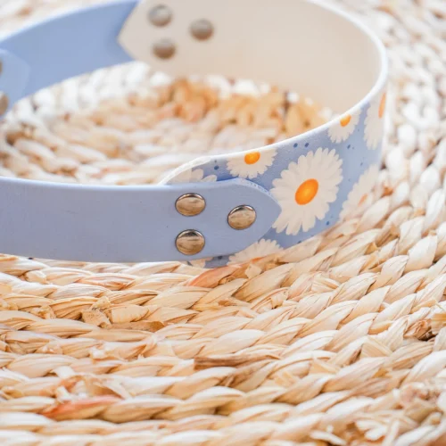 Truffe Store Accessoires collier chiens